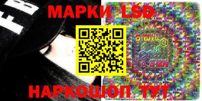 гидра Камышлов