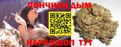 гидра Камышлов