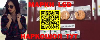 гидра Камышлов