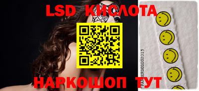 гидра Камышлов