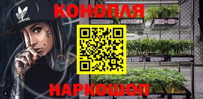 гидра Камышлов