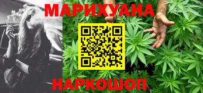 гидра Камышлов