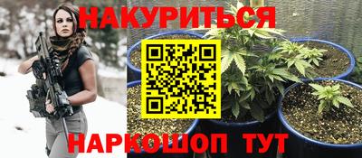 гидра Камышлов