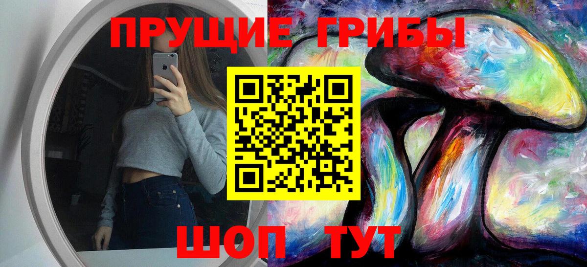 Галлюциногенные грибы Psilocybine cubensis Урус-Мартан