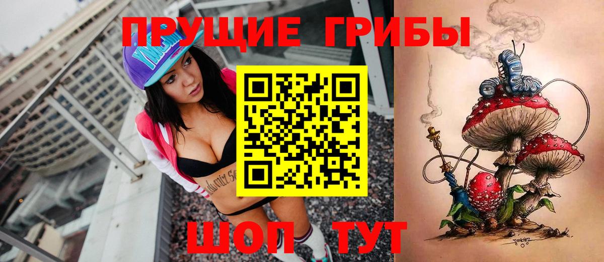 Урус-Мартан  Псилоцибиновые грибы мицелий  Вход с VPN  Псилоцибиновые грибы MAGIC MUSHROOMS 