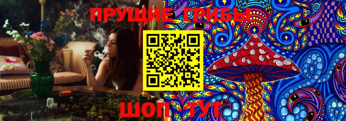 Галлюциногенные грибы GOLDEN TEACHER  Урус-Мартан 